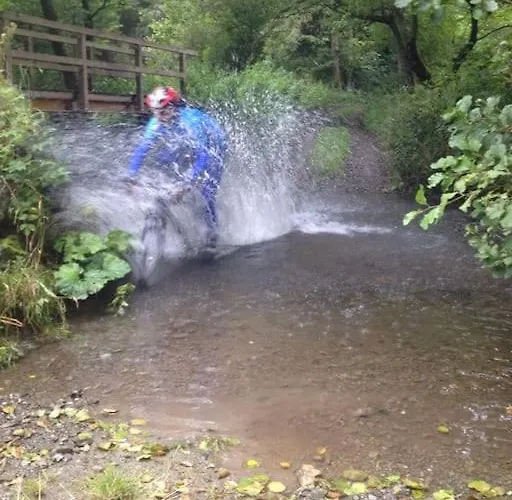 Erdgeschoss Bis 10 Personen Zentrum Lejlighed *