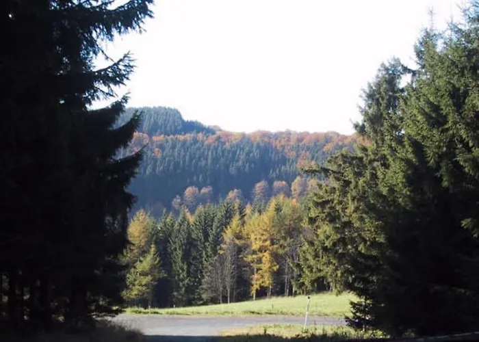 Erdgeschoss Bis 10 Personen Zentrum Winterberg